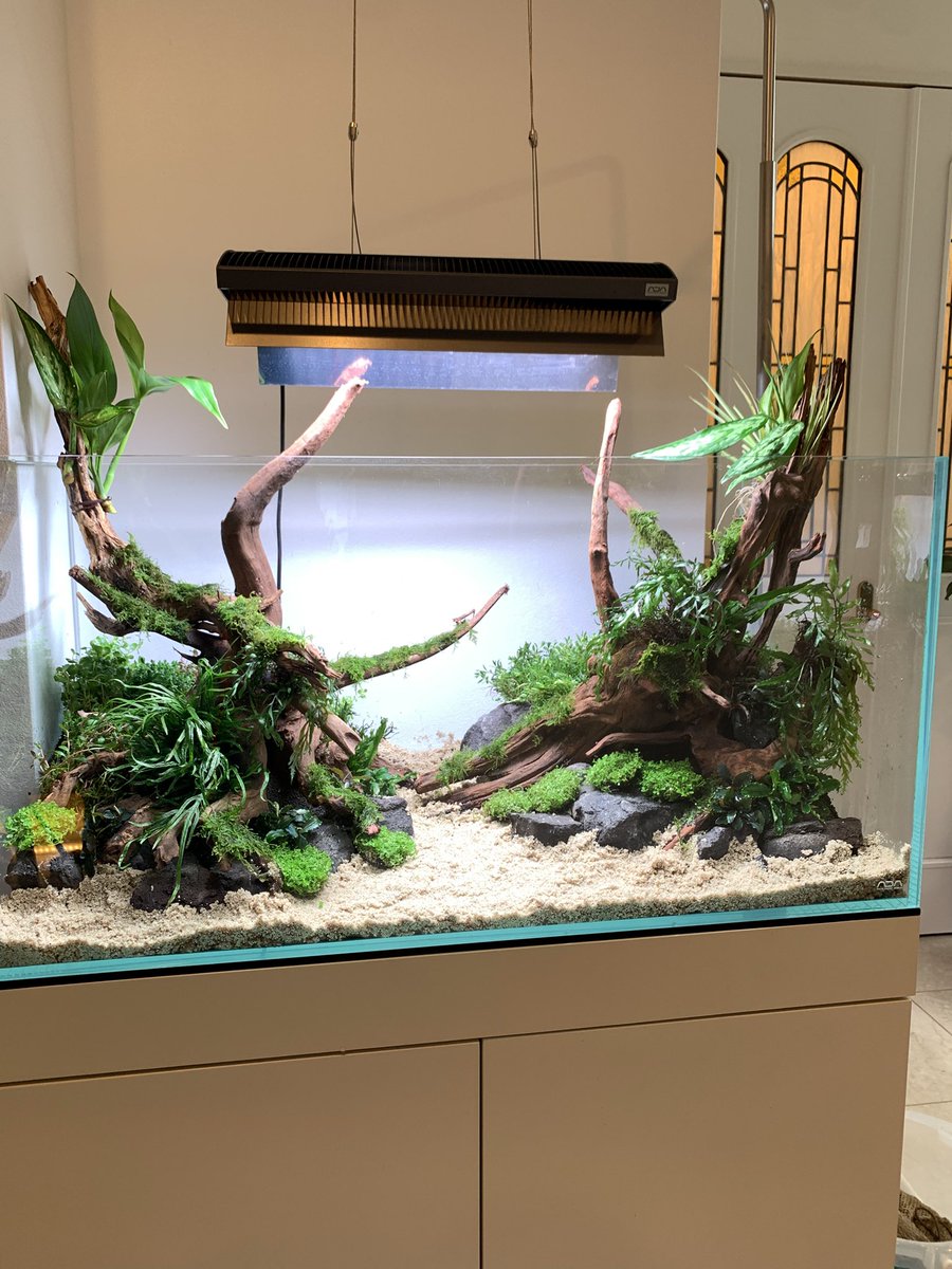 本日はお客様宅で出張レイアウトサービス☺️☝🏻 超一流のレイアウト