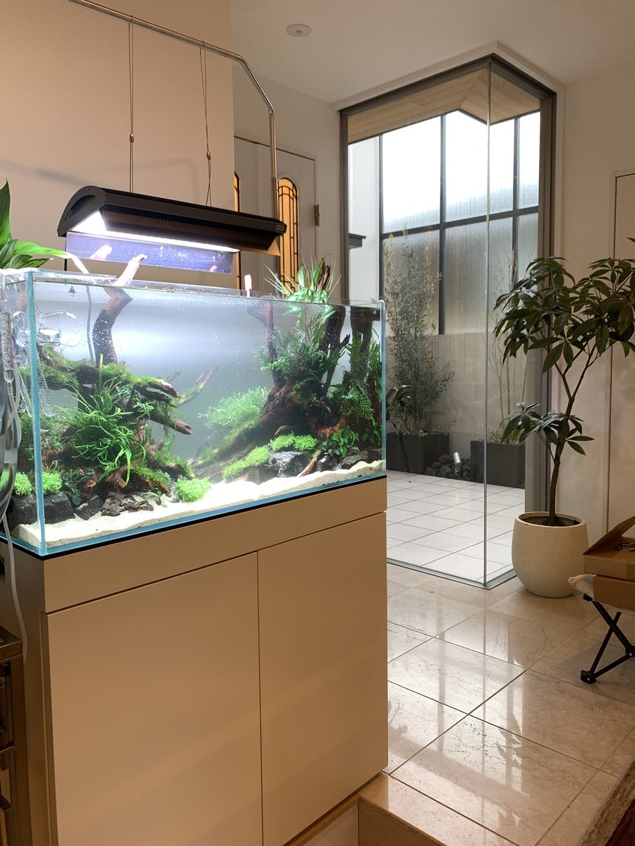 本日はお客様宅で出張レイアウトサービス☺️☝🏻 超一流のレイアウト