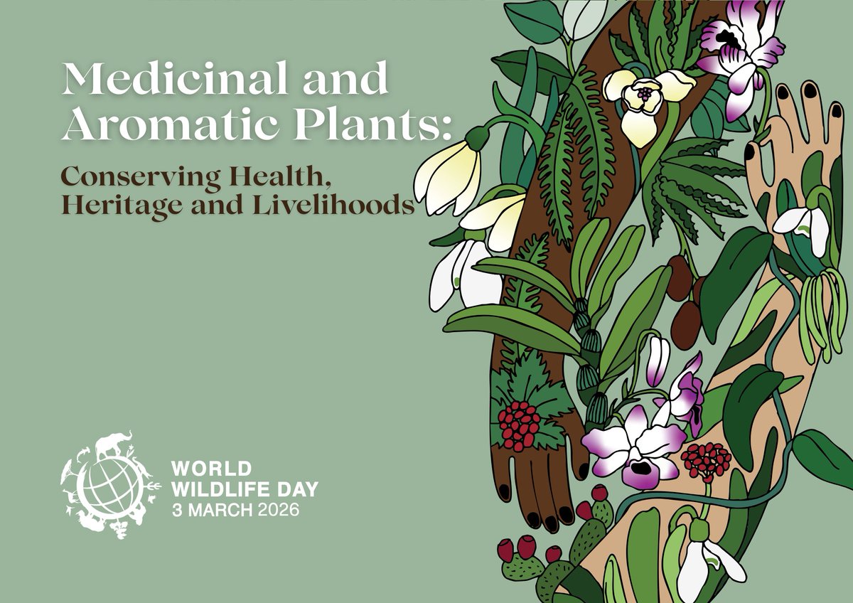 UN Environment Programme in Africa tweet media