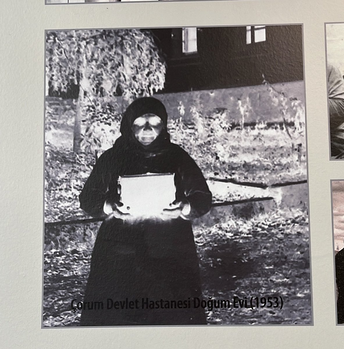 Tuğçe Doğan tweet media