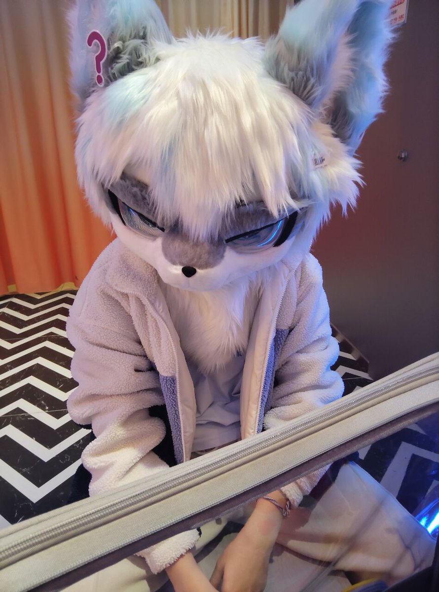 爱吃糖的凛风_frosti🐾 tweet media