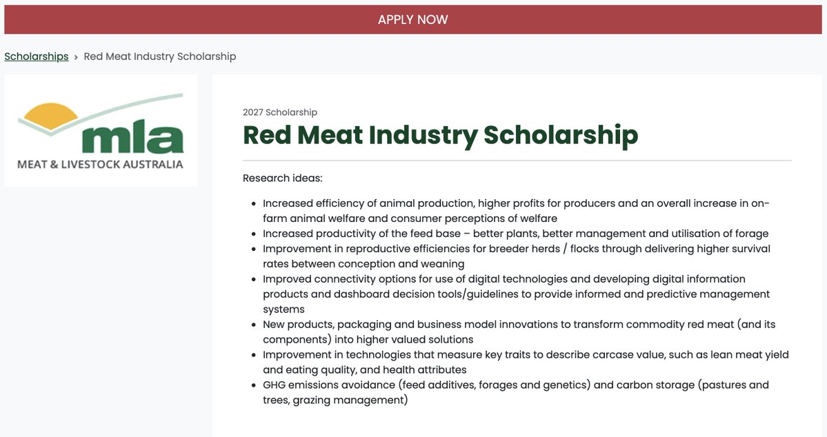 ASHEEP & BEEF tweet media