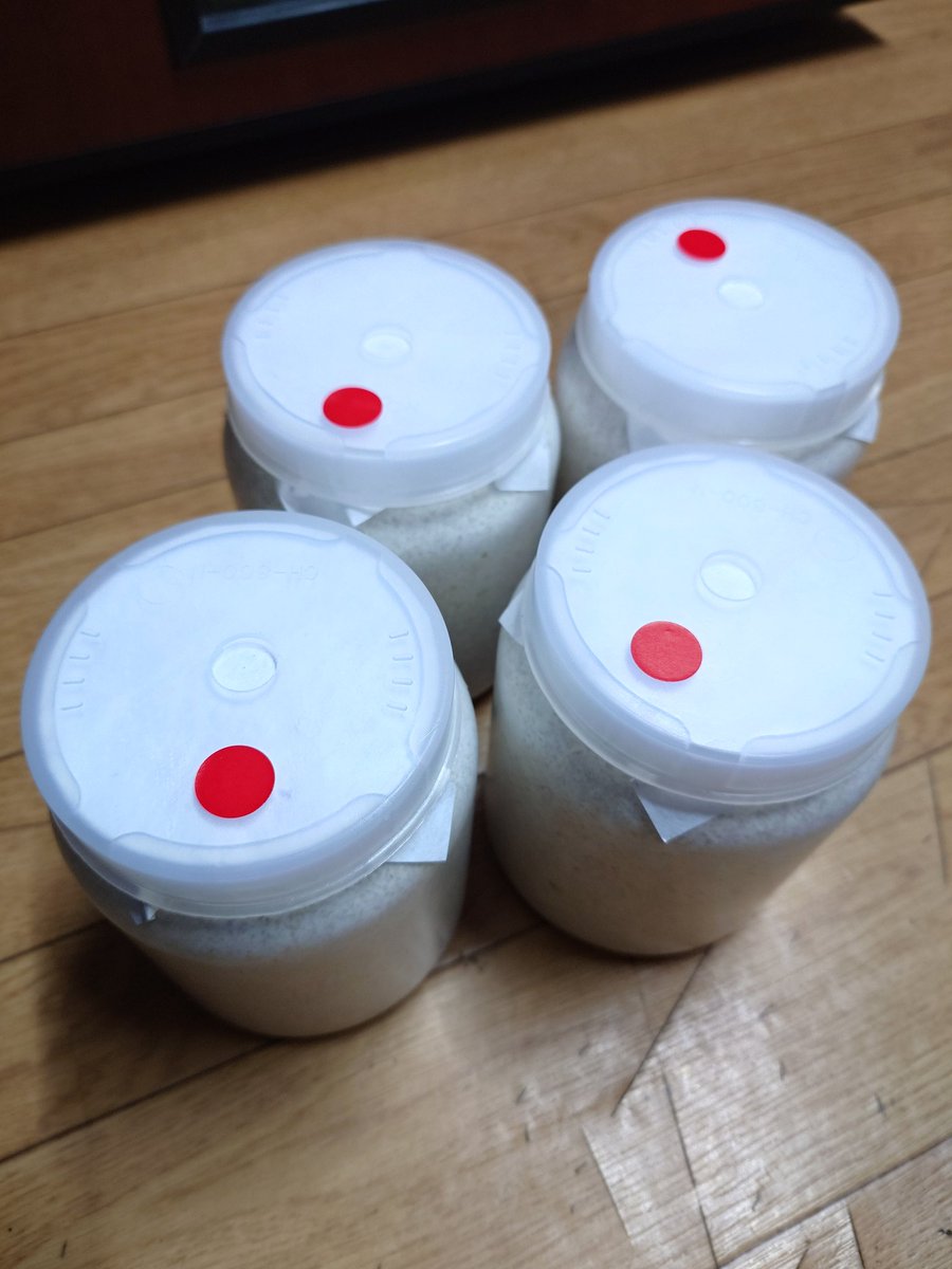 world ace3 tweet media