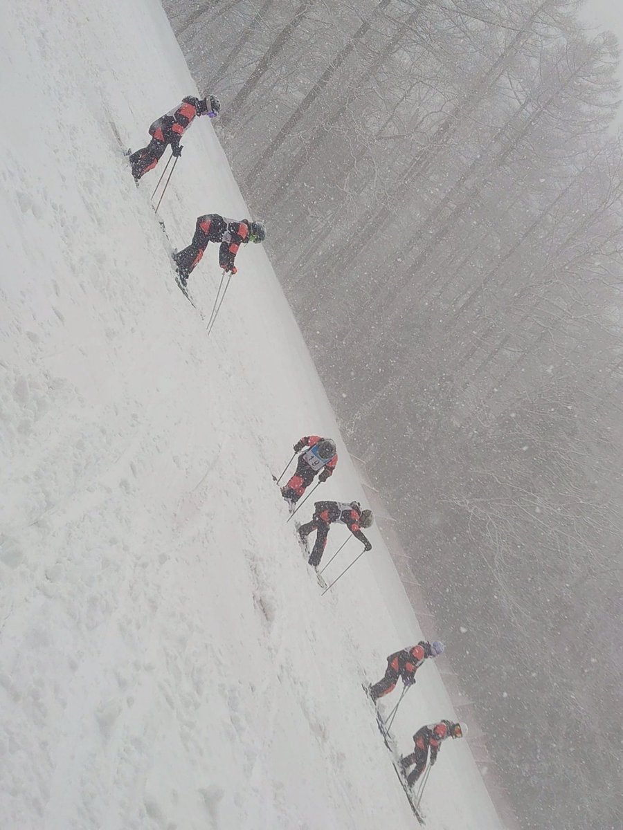 WhiteLocus_ski's tweet photo. 今日は関デモ大会練習日でした。
団体戦、個人戦、新人戦があり、その練習をしていました。団体戦練習では少々トラブルもありましたが、全員怪我もなく終えることができました。明日から大会が始まるので頑張ります‼️

#春から工繊 https://t.co/Xkhrg40xw5