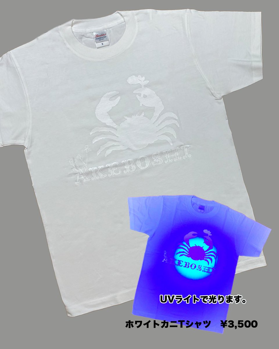 明星/Akeboshi tweet media