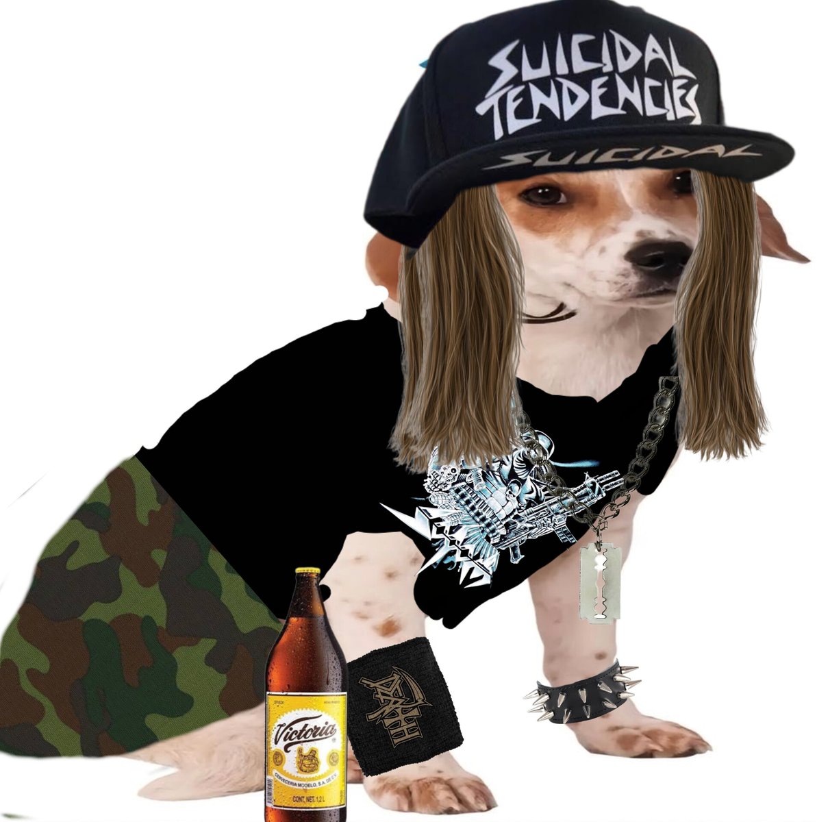 Panazado tweet media