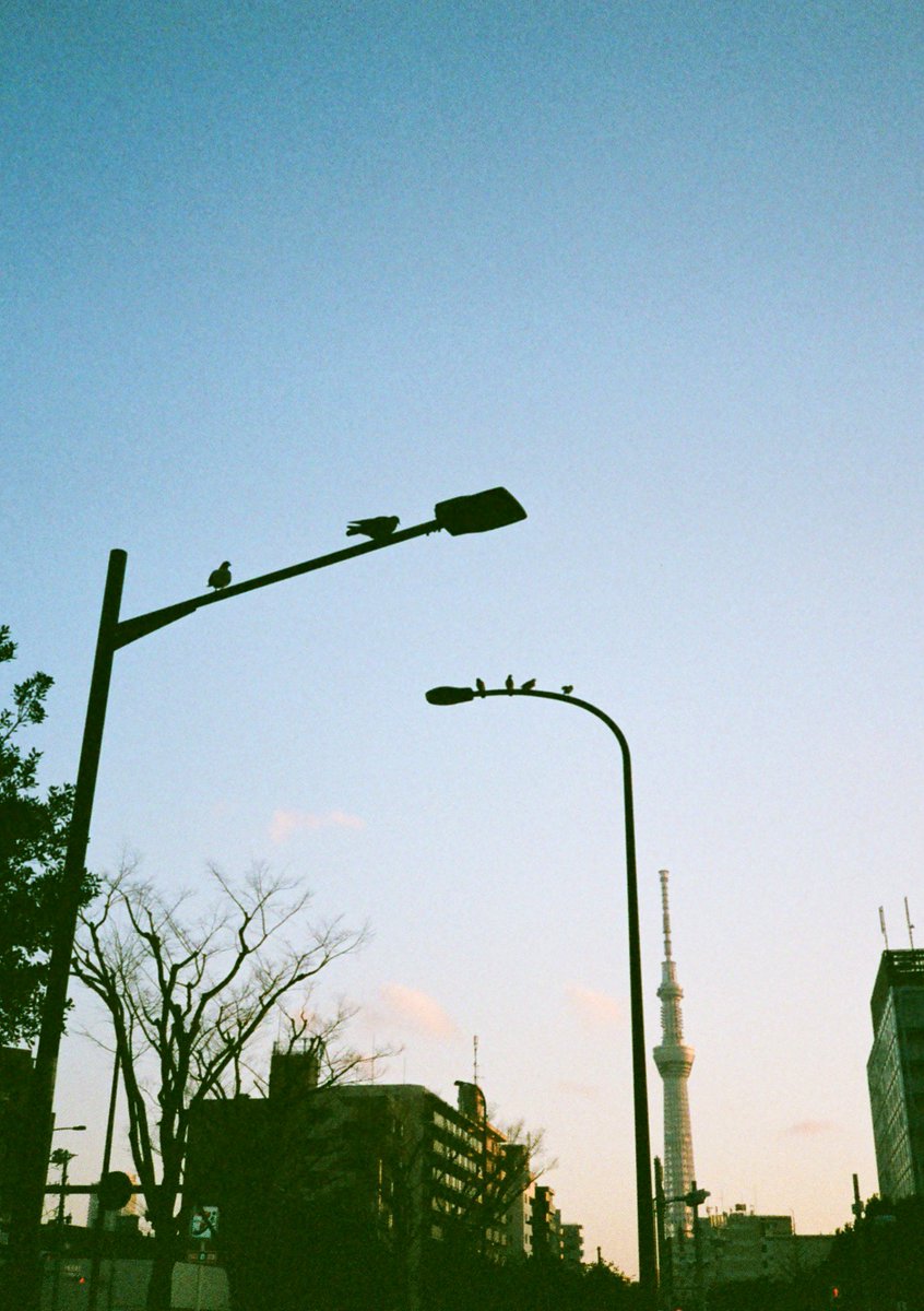 鬱木ゆうと tweet media