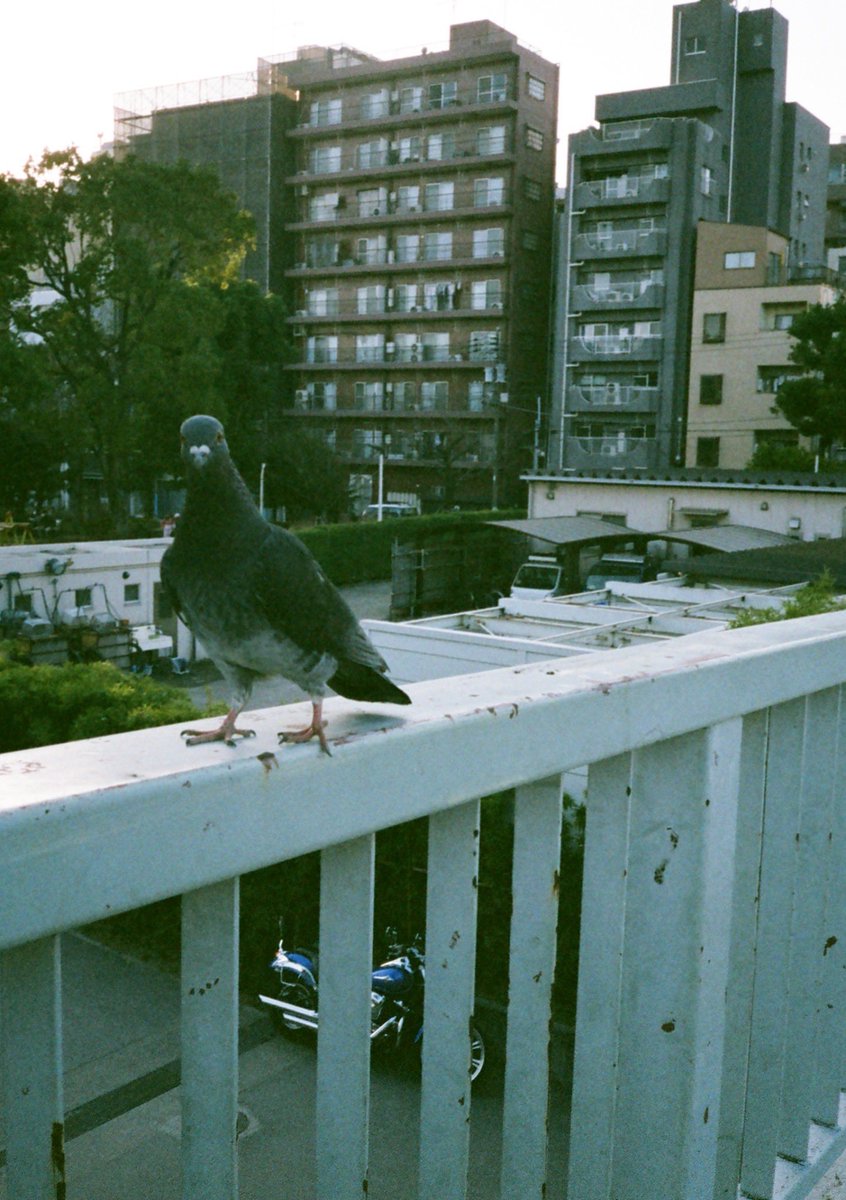 鬱木ゆうと tweet media