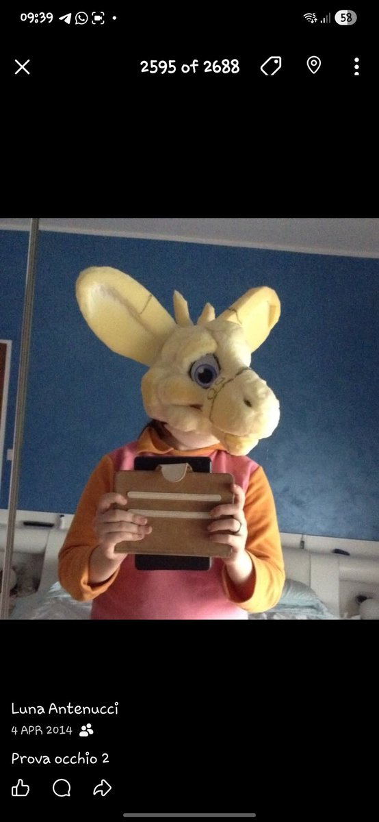 StuffedTailsFursuits |STF| tweet media