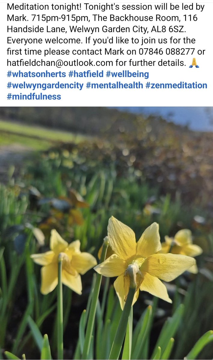 HatfieldChan's tweet photo. Meditation tonight! Tonight's session will be led by Mark. 715pm-915pm, The Backhouse Room, 116 Handside Lane, Welwyn Garden City, AL8 6SZ. Everyone welcome. If you'd like to join us for the first time please contact Mark on 07846 088277 or hatfieldchan@outlook.com for details.🙏 https://t.co/eJ0u41BkkO