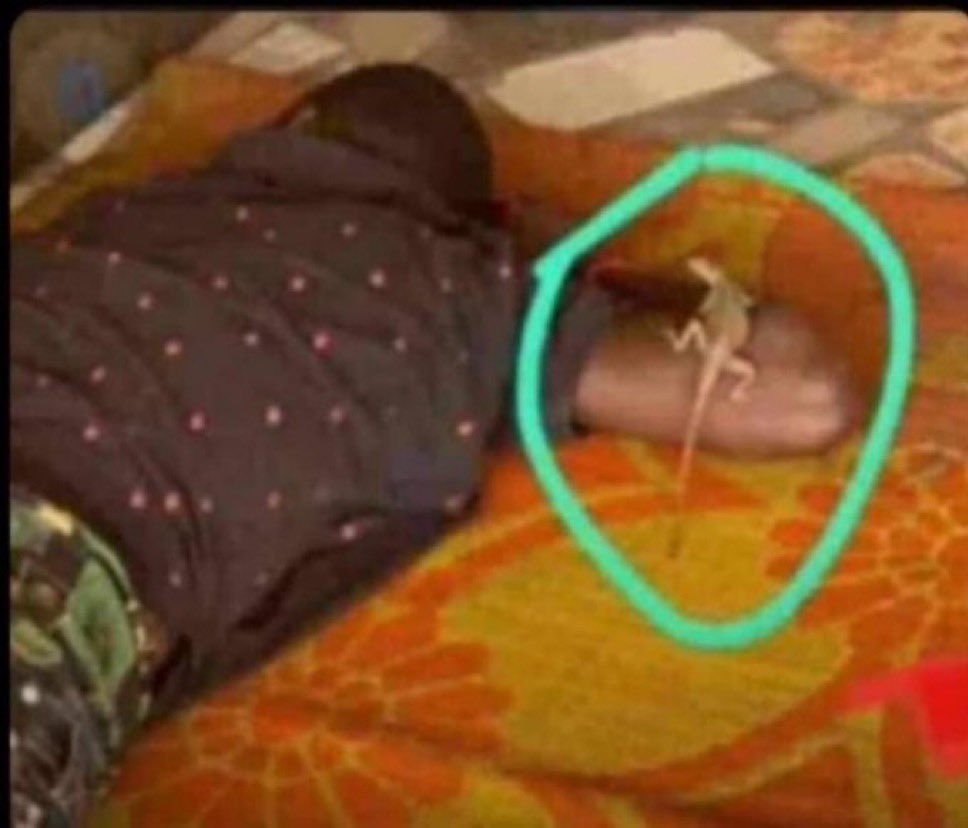 once old taker no get money again, animal no go dey fear am again.