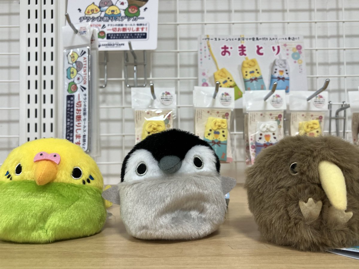 丸善岡山シンフォニービル店 tweet media