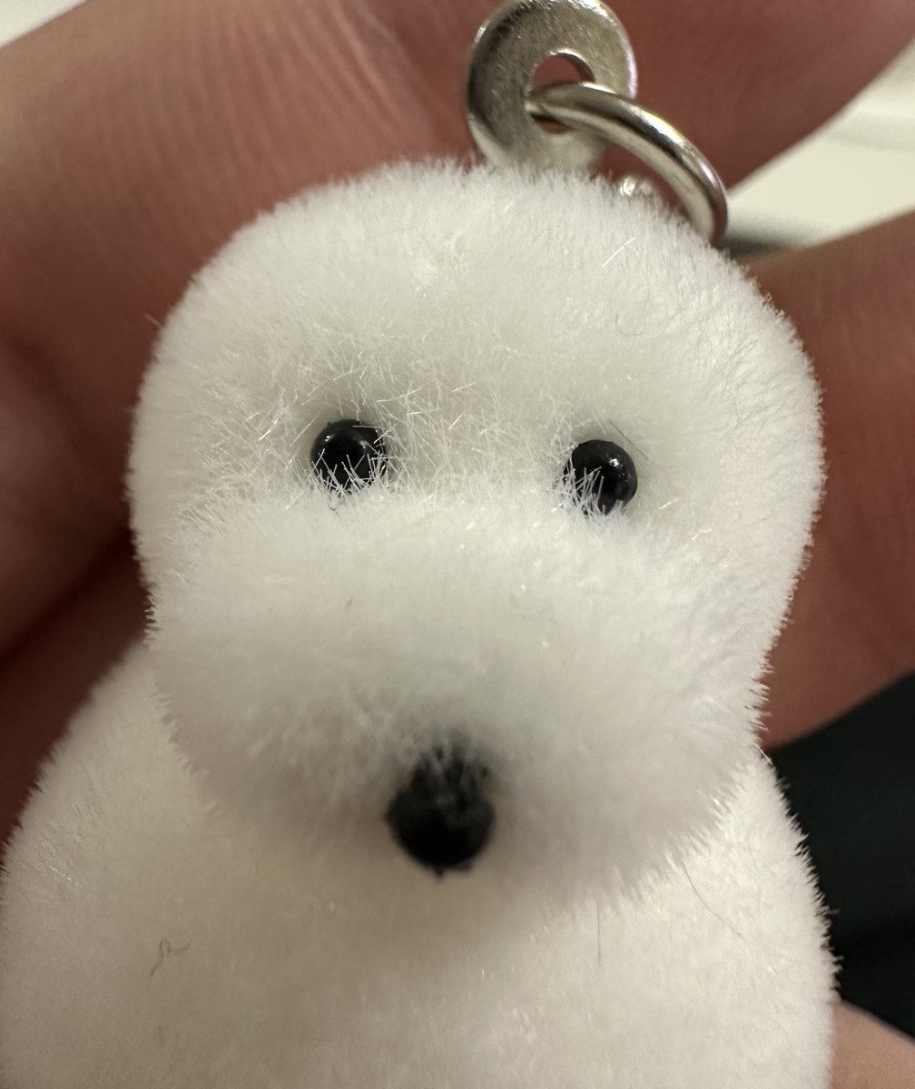 カネヒラ (@simainusima) / Posts / X