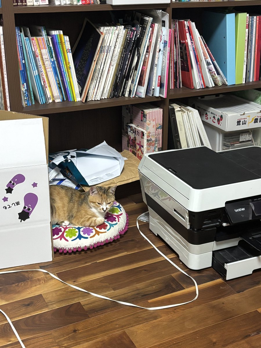 後藤知江 │イラストレーター tweet media