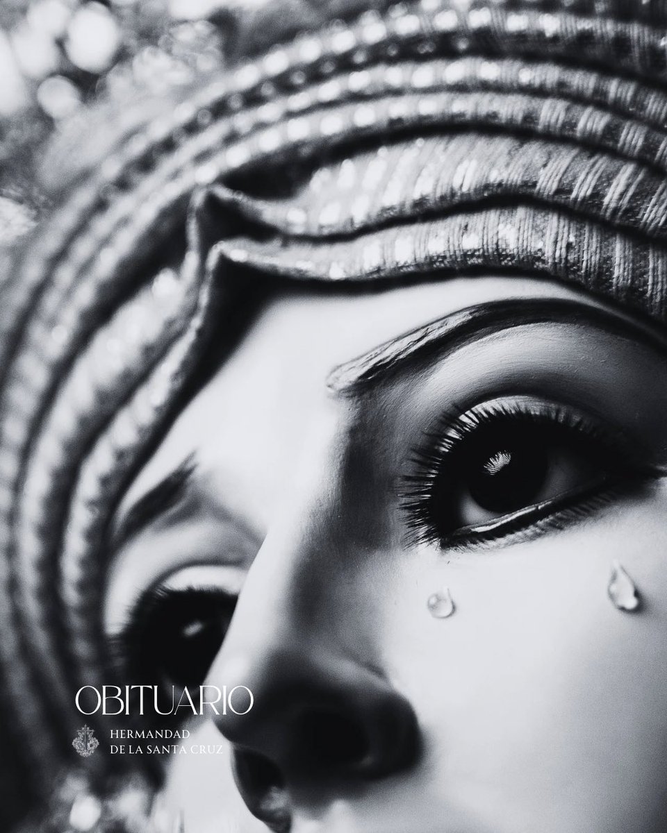 Hdad. Santa Cruz tweet media