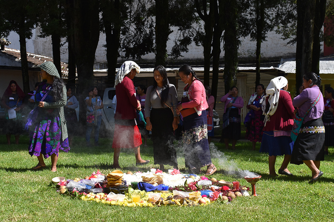 Pau i Solidaritat País Valencià tweet media