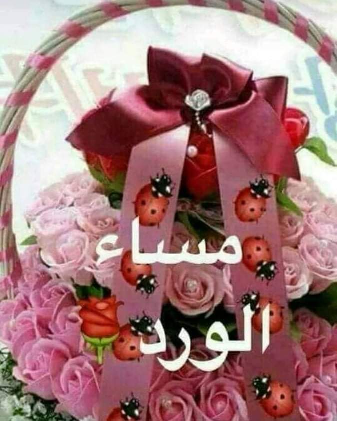 💙جود💙 tweet media