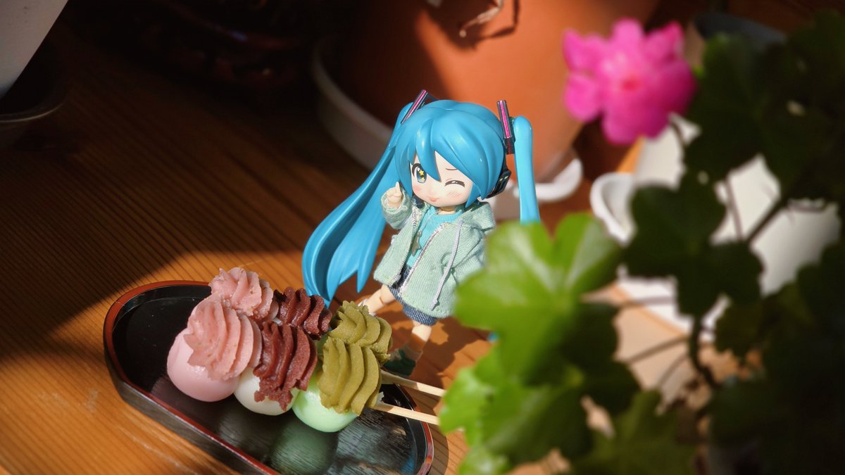 bera_bo's tweet photo. 花より～!? https://t.co/B0tj0t909g