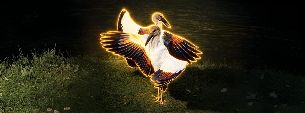 dihllua's tweet photo. 10m views and 3m likes in 12 hours.

These storks are going viral af on all socials for aura farming like crazy. Just look at the pose, look at the grace, look at THE AURA. Everyone in the comments is losing their minds. Just watch the video, trust me.

X comm: https://t.co/ZIuYmLetYp

TikTok: https://t.co/hy24G8TLkl
Instagram: https://t.co/iBXO3svmM1