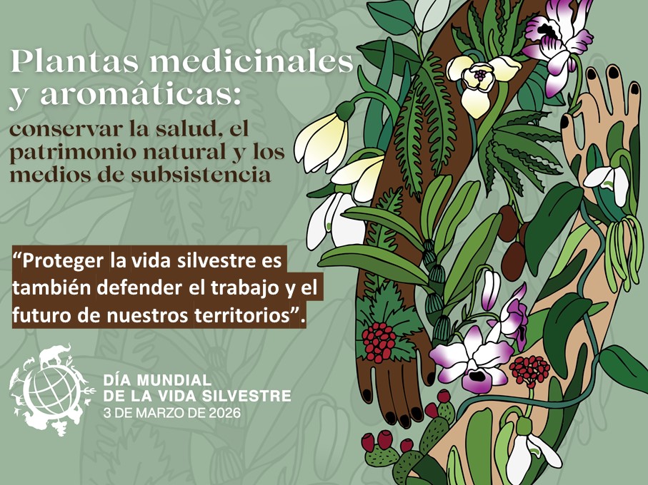 🗣️La pérdida de vida silvestre tiene consecuencias ambientales pero también sociolaborales. Muchos empleos dependen de su buen estado por lo que debe incluirse como una política de empleo y justicia territorial
🔍medioambiente.ugtcyl.es/dia-mundial-de…
#UGTenVERDE 💚#DíaMundialDeLaVidaSilvestre