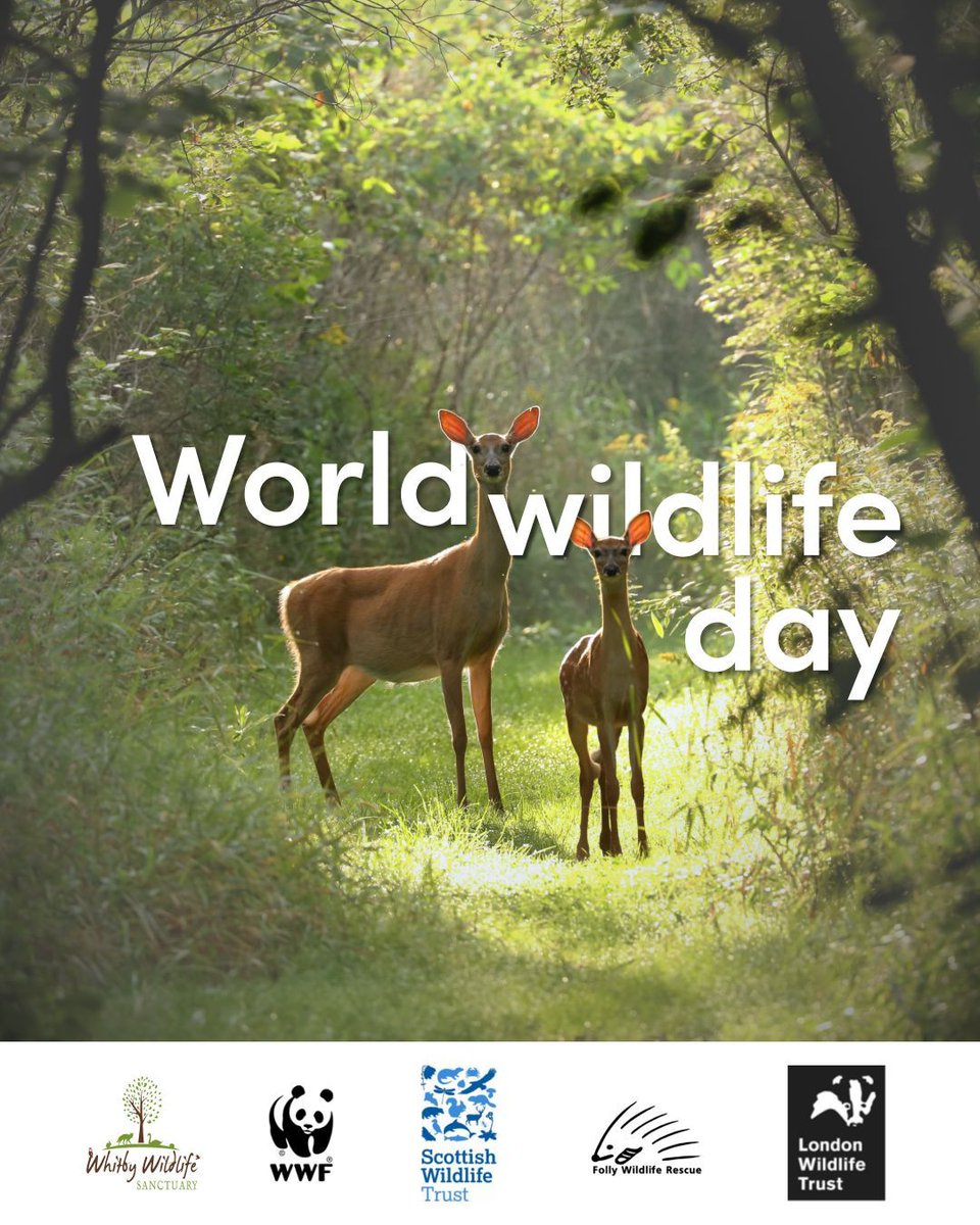 easyfundraising tweet media