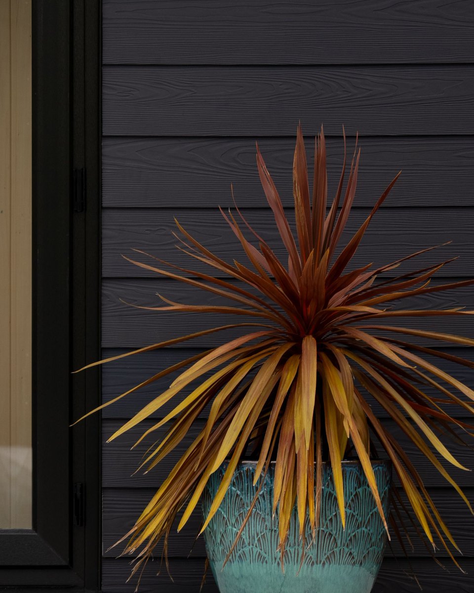 Cladco Profiles® tweet media