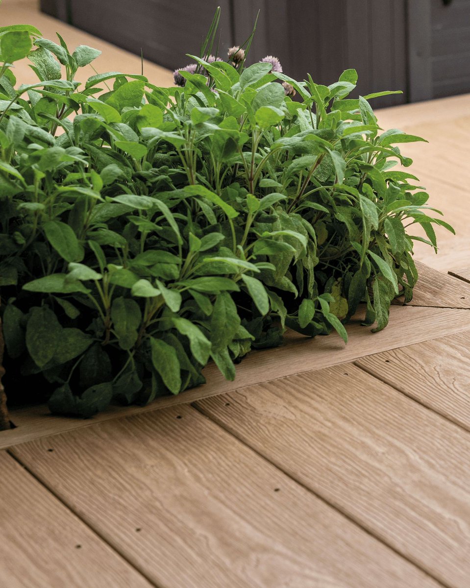 Cladco Profiles® tweet media