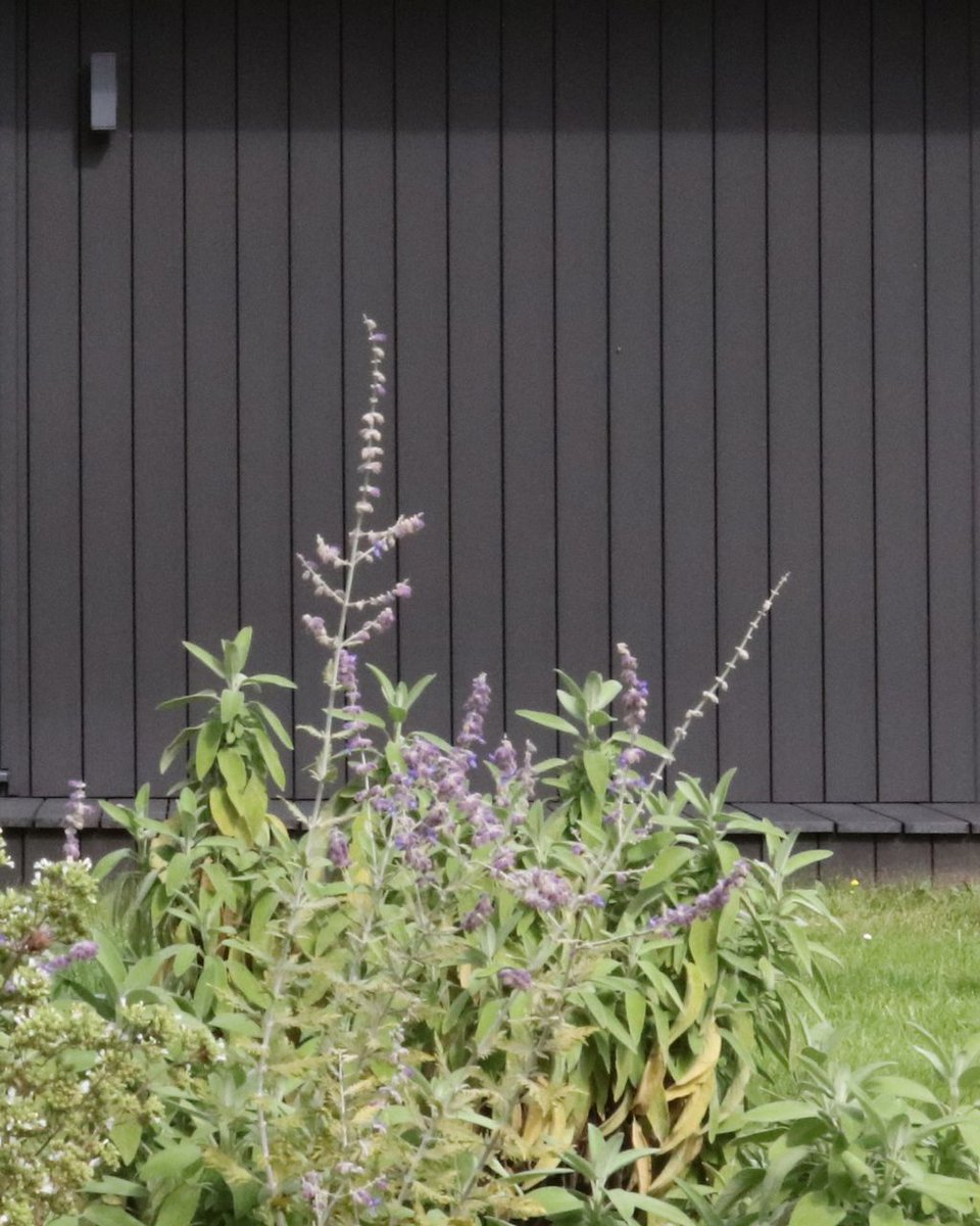 Cladco Profiles® tweet media