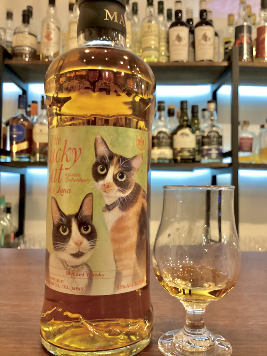 本坊酒造マルスウィスキーより、猫ちゃんの到着です ラッキーキャット