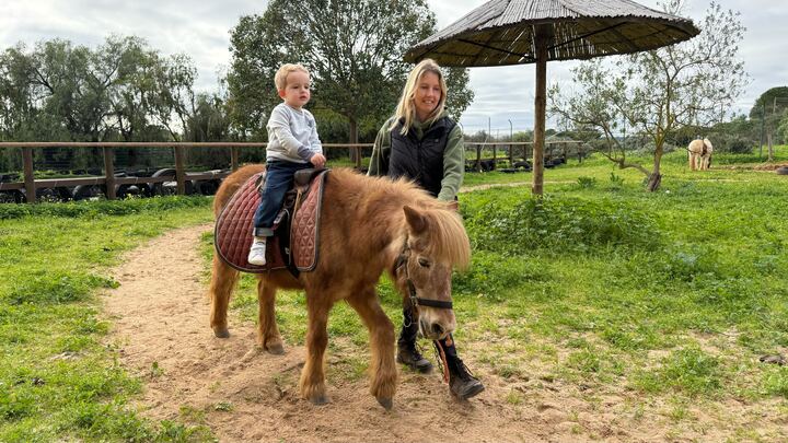 Silverfin tweet media