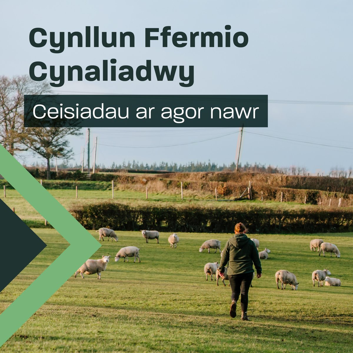 Welsh Government Rural Affairs tweet media