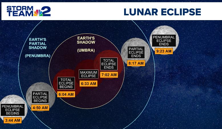 Patrick Hammer tweet media
