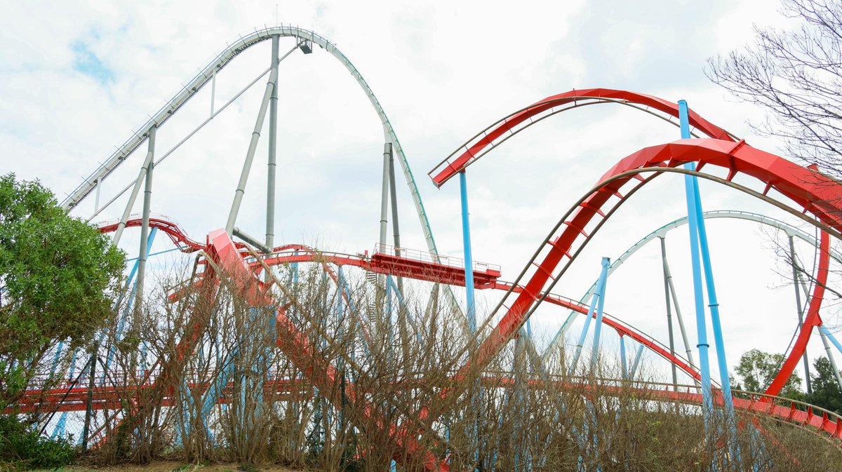 Dave A.M. tweet media