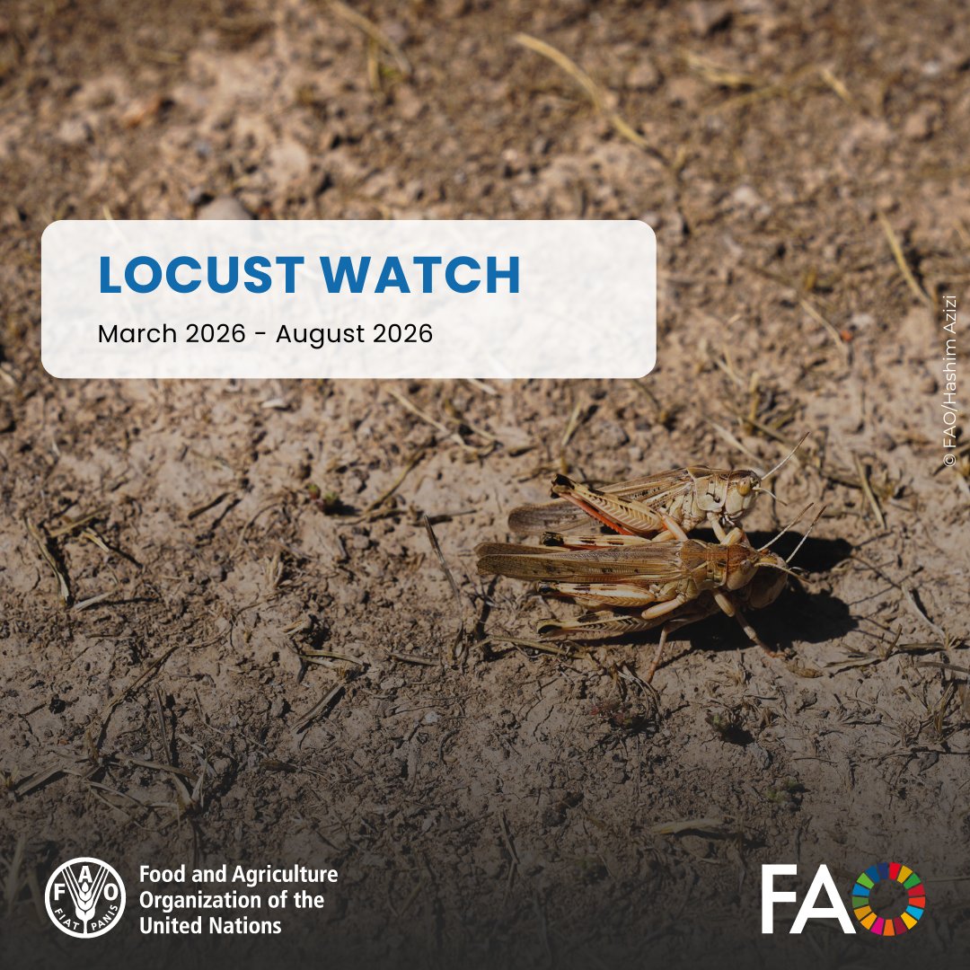 FAO Plants tweet media