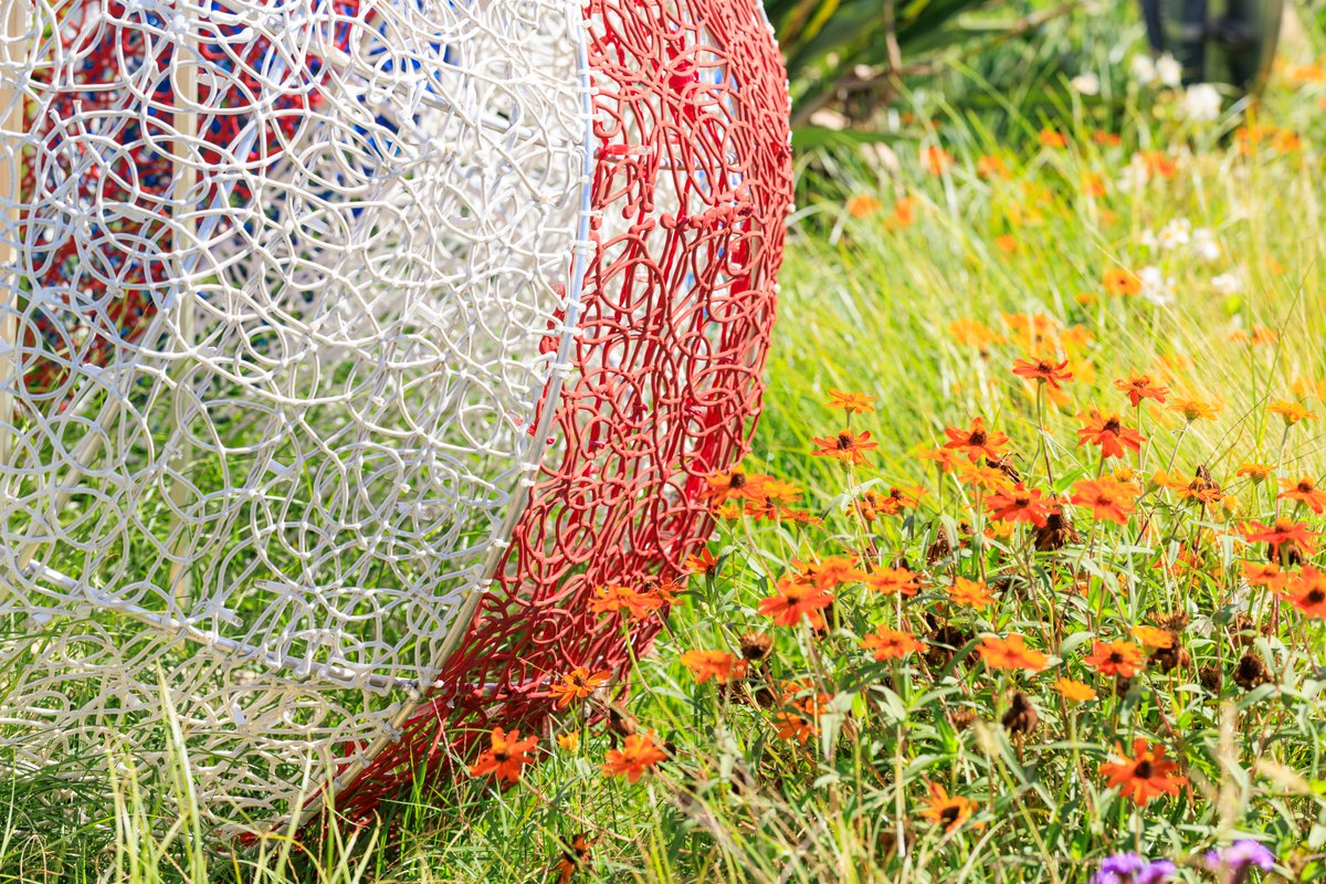 @BlachereUK tweet media