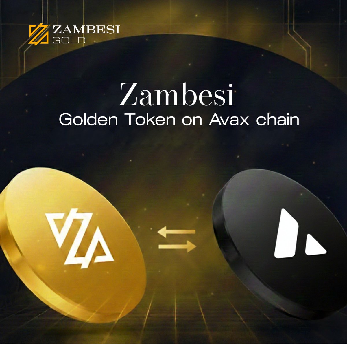 Zambesi Gold 🔺🪙 tweet media