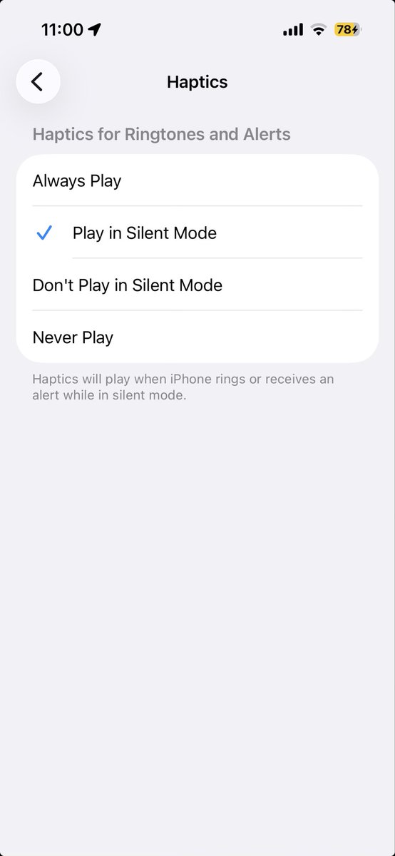 cappe_97's tweet photo. @aydahnizzy @lochieaxon Is this one right? I tried to set Always play, removed low battery mode, toggled the action button to remove silent mode but still no haptics
Tried on Brave and Safari :( https://t.co/v2Xl4ztpIT