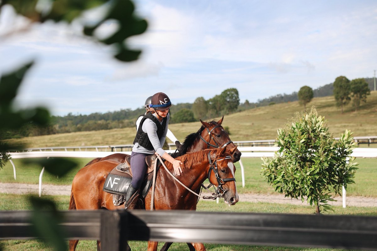 newington_farm's tweet photo. Our talented breaker team doing what they do best…educating beautiful yearlings for our valued clients. ⭐️🐎 https://t.co/vg5POy4Vkd