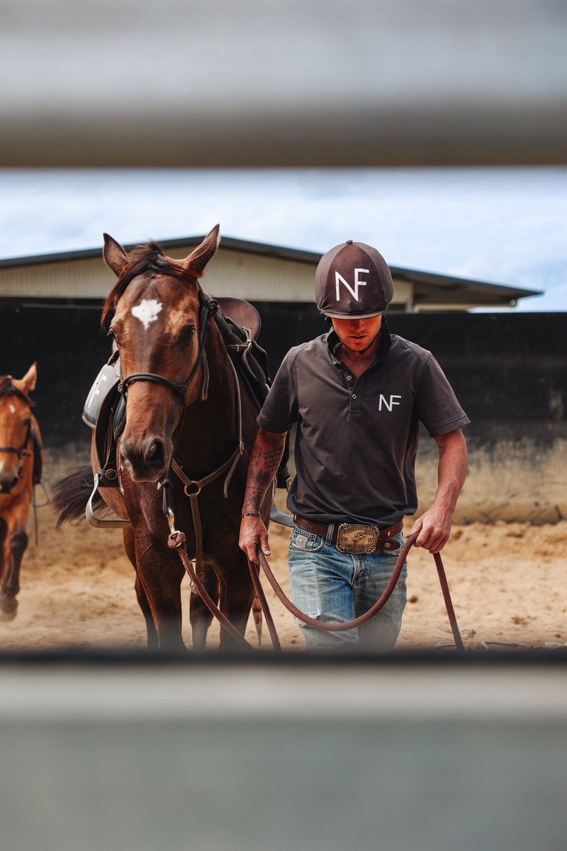 newington_farm's tweet photo. Our talented breaker team doing what they do best…educating beautiful yearlings for our valued clients. ⭐️🐎 https://t.co/vg5POy4Vkd