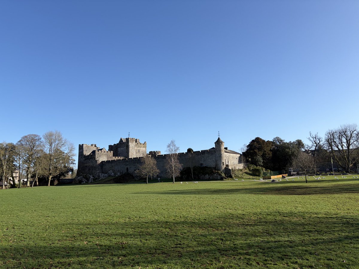 Gerard Sheehy tweet media