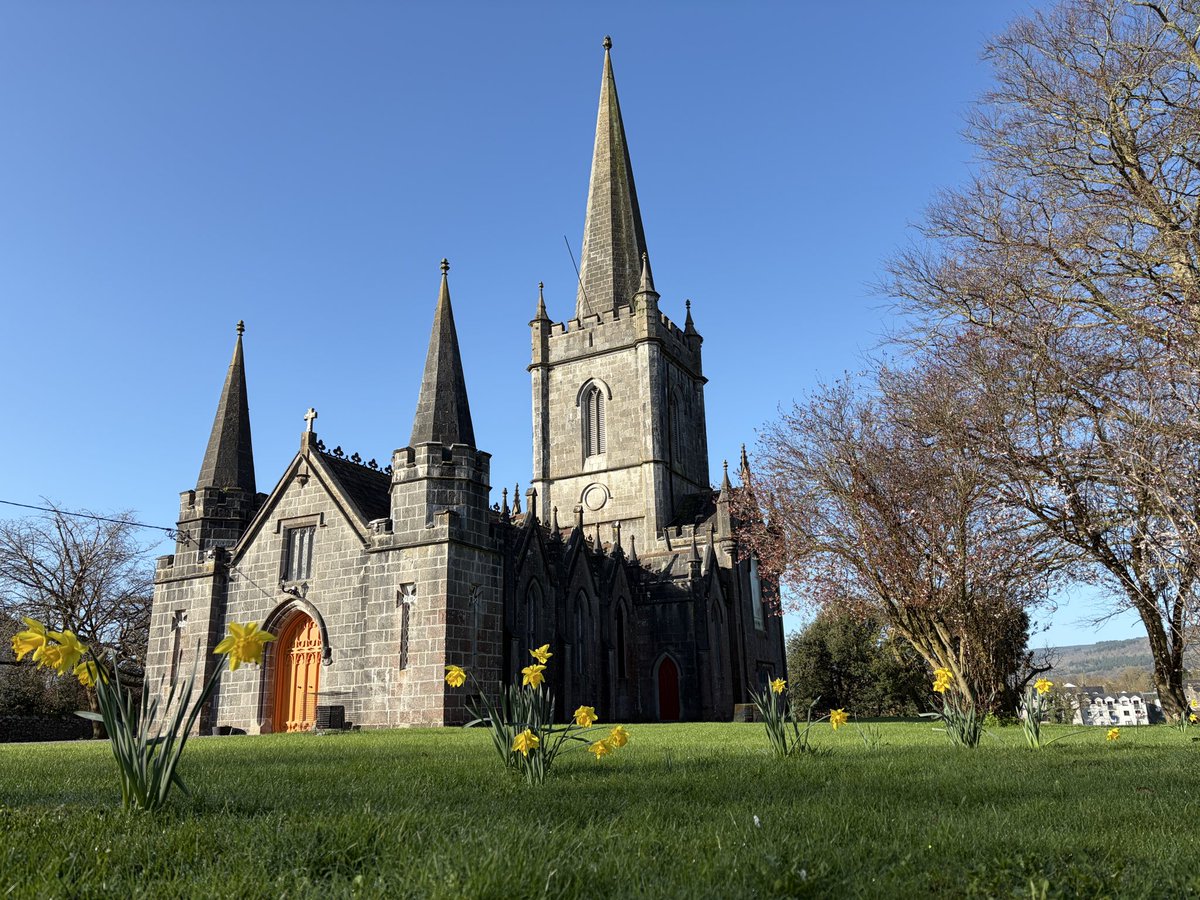 Gerard Sheehy tweet media