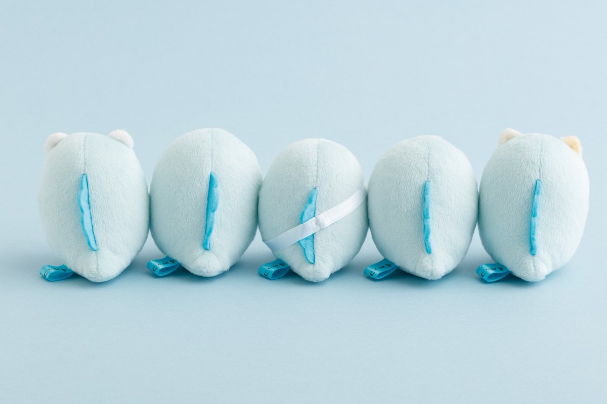 3月6日(金)10：00～✨
情報解禁をお楽しみに🩵