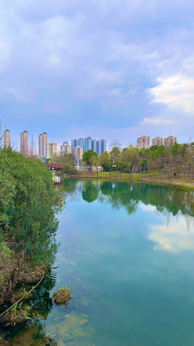 serdar_alper's tweet photo. Changde | China | feeling spring | 2026 https://t.co/7WDeX1vLHJ