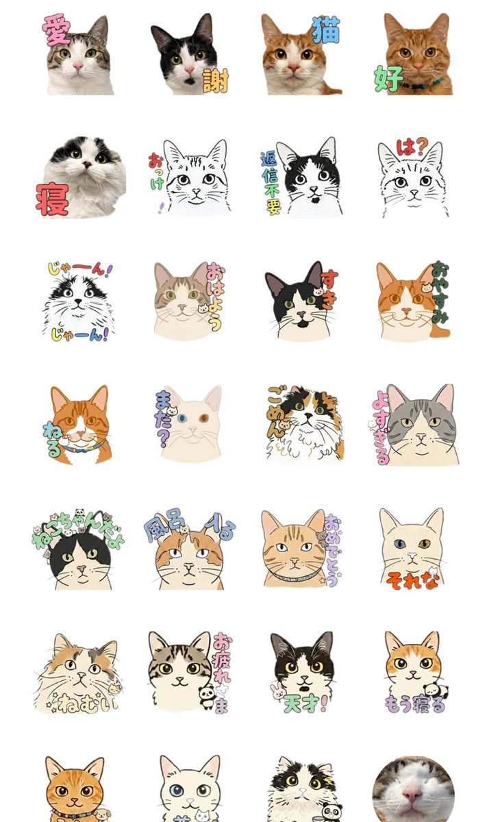 omegudayon's tweet photo. 猫のラインスタンプを作りました💓
 売上はそのまま保護猫団体へ寄付します 🐾
いろんなテイストや写真で、使いやすいよう心がけました📝
​お気に入りの子がいたら教えてくださいね♫
[頑張ってつくった保護猫スタンプ]
https://t.co/H0kOWZNMST https://t.co/fDYwtT3E6R