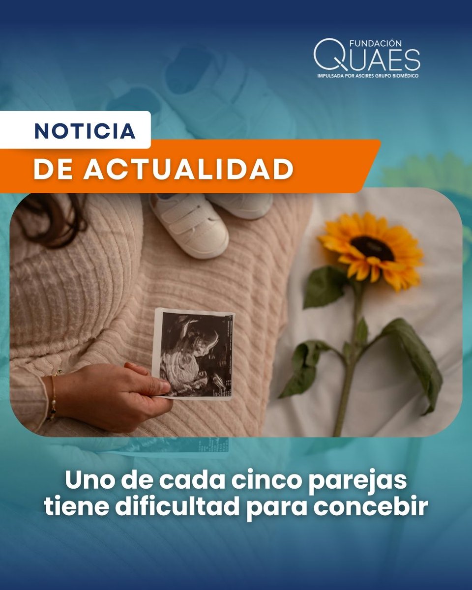 Fundación QUAES tweet media