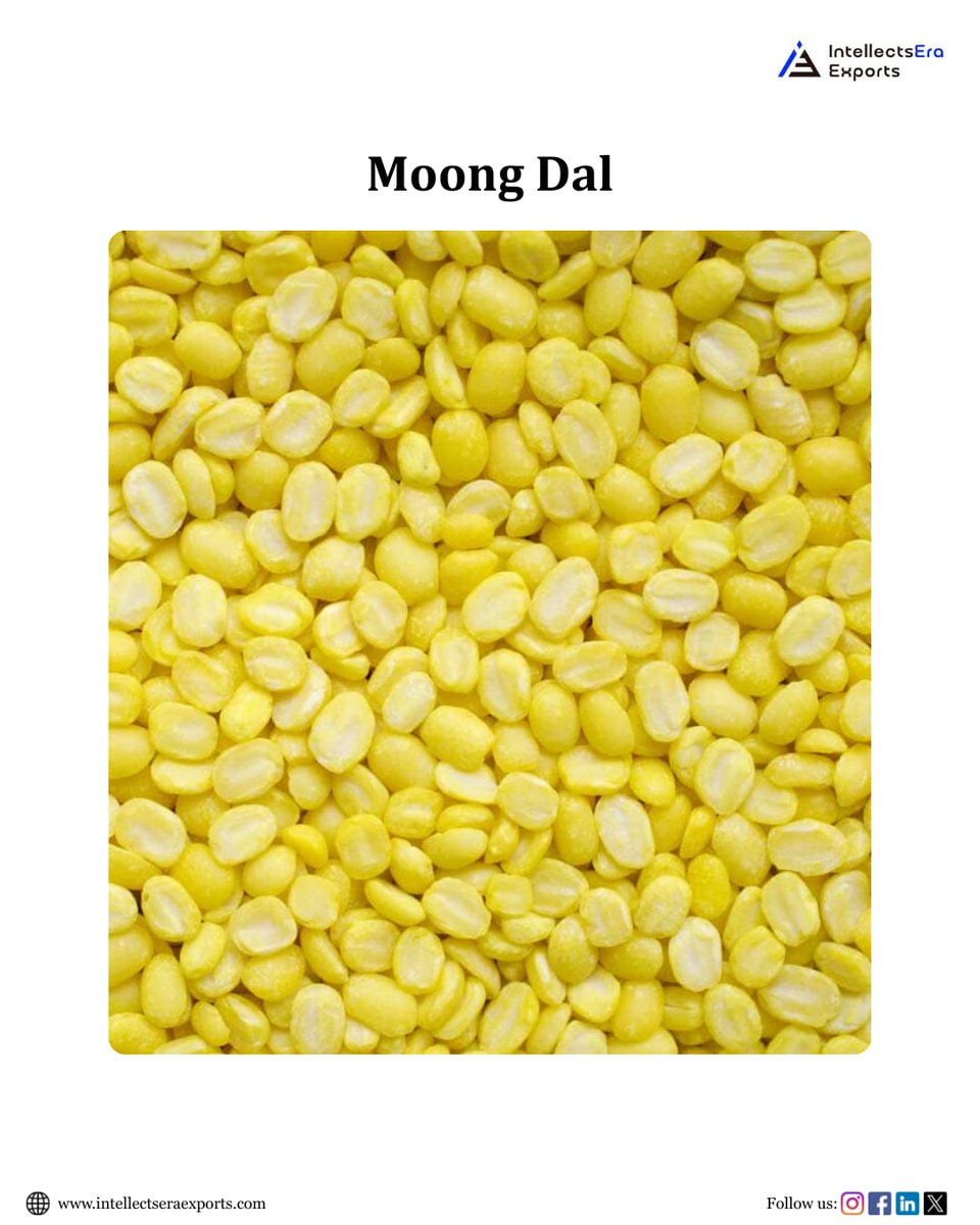 IEra_Exports's tweet photo. Premium Indian dal varieties 🌾
Export quality. Bulk supply. Global markets ready.
#DalExports #IndianPulses #ExportIndia #GlobalTrade #AgriExports #B2B https://t.co/KCMslOGNBb