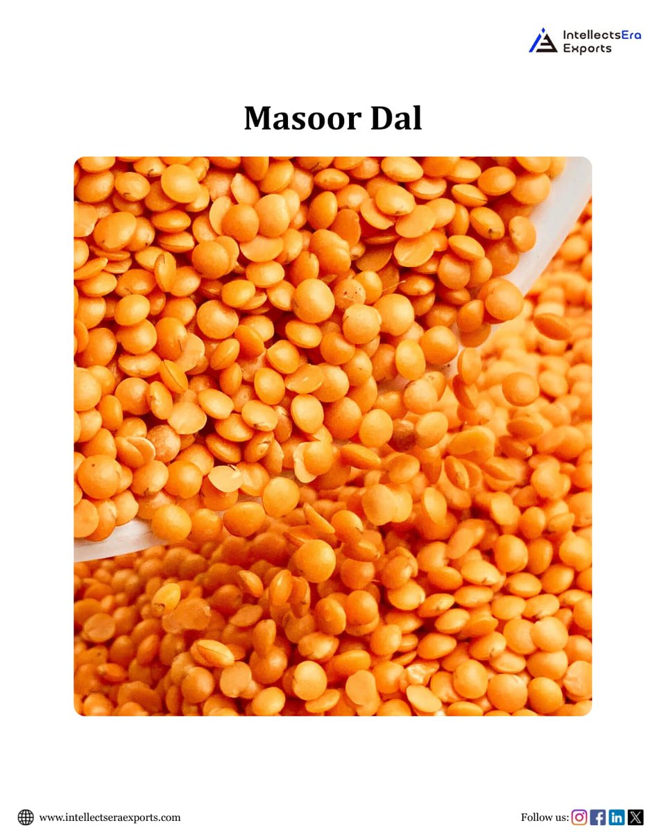 IEra_Exports's tweet photo. Premium Indian dal varieties 🌾
Export quality. Bulk supply. Global markets ready.
#DalExports #IndianPulses #ExportIndia #GlobalTrade #AgriExports #B2B https://t.co/KCMslOGNBb