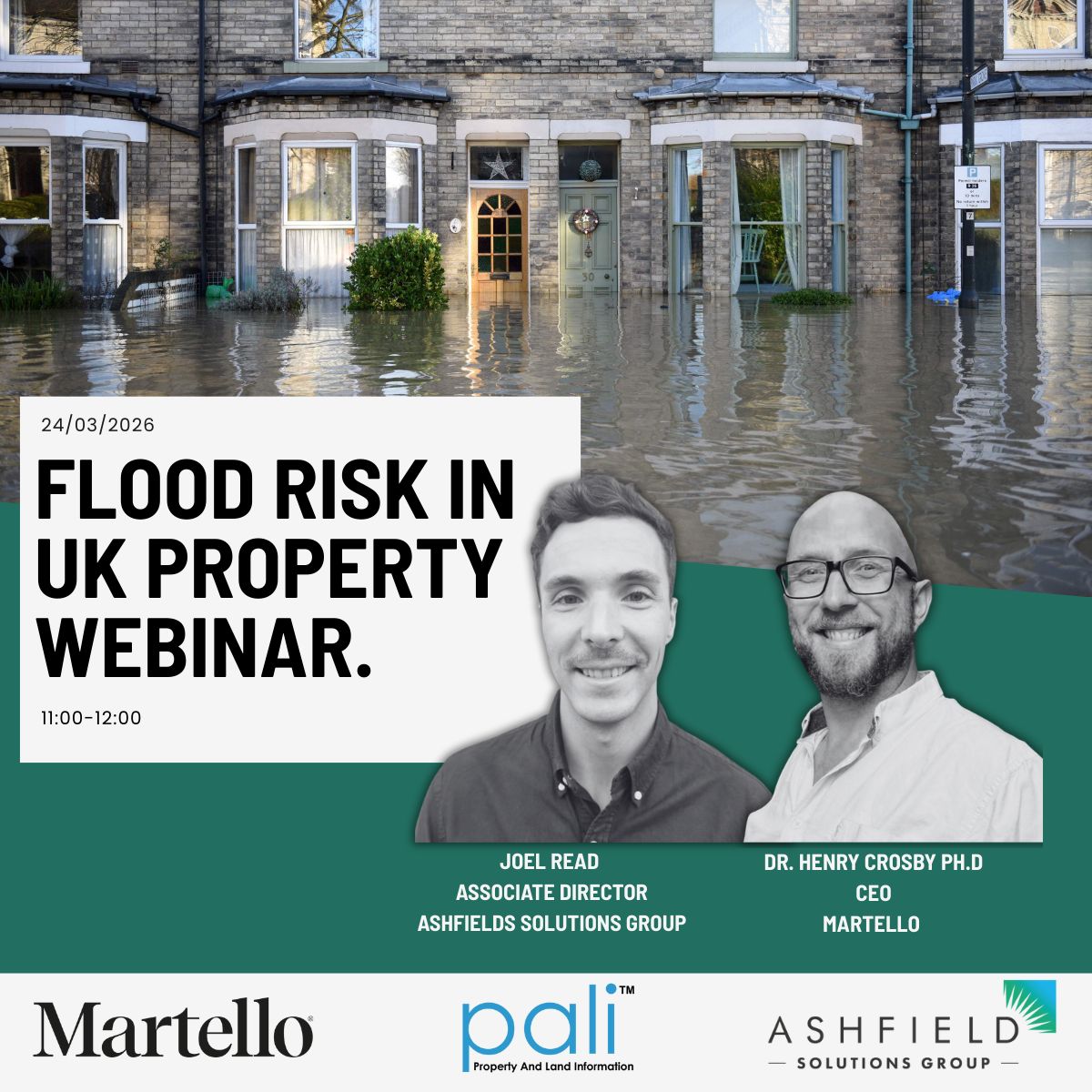 Pali Ltd tweet media