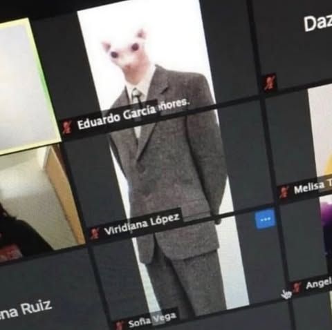 memes to save tweet media