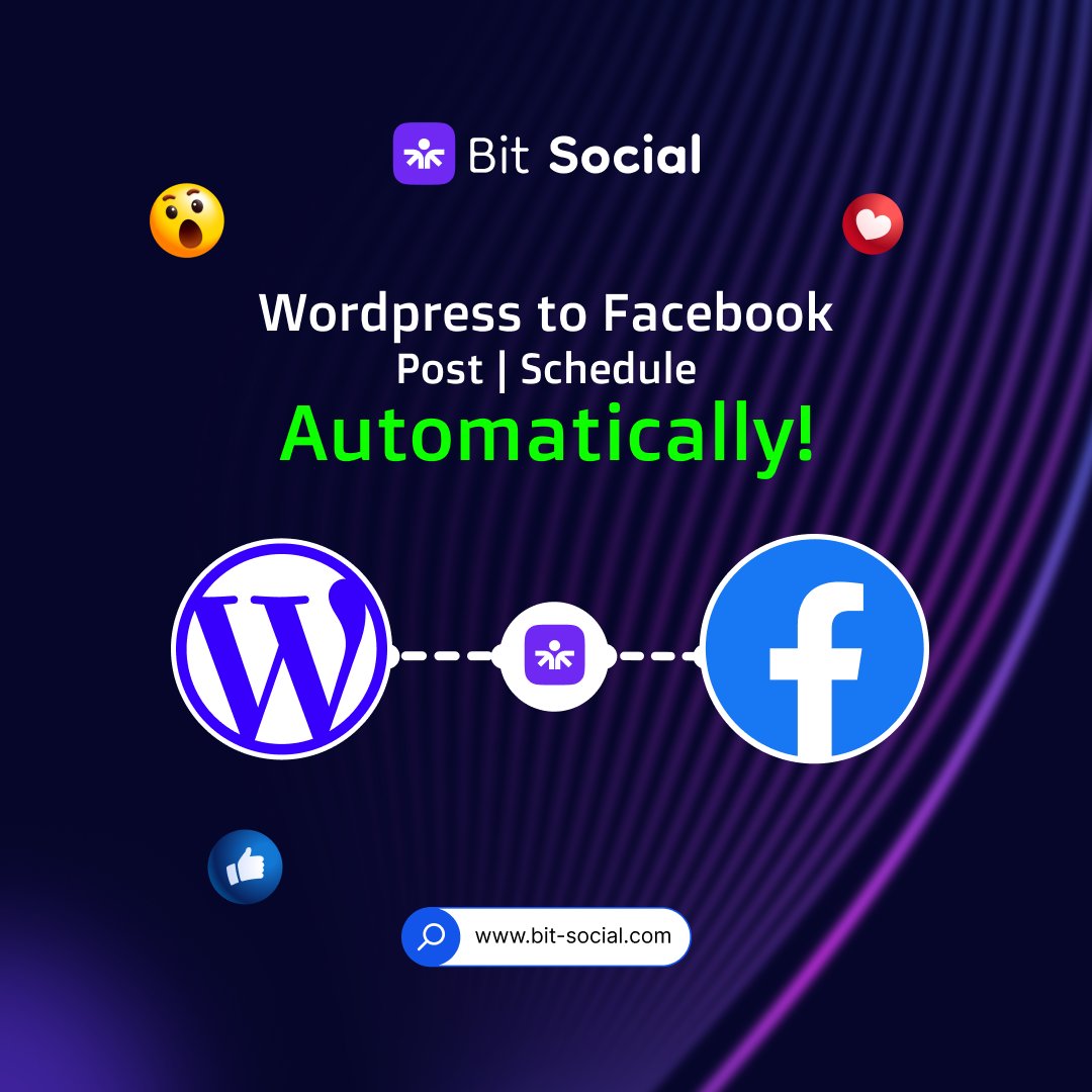 Bit Social tweet media